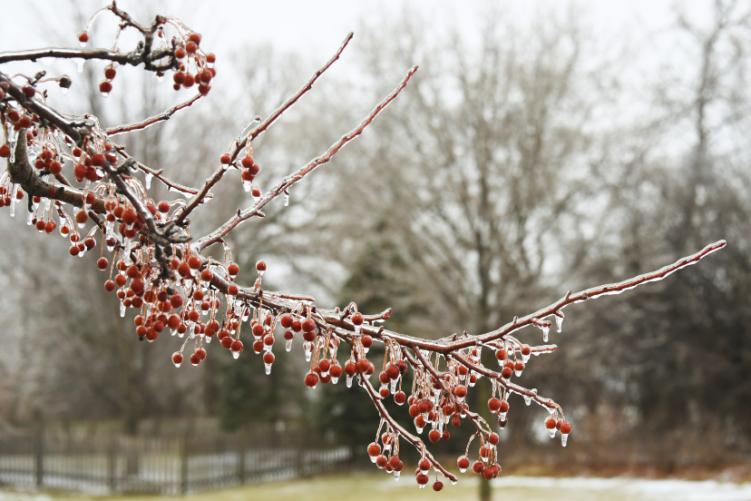 Understanding the Impact of Rain and Winter Storms in the U.S