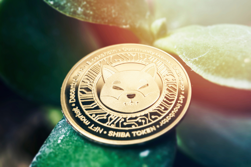 Will Shiba Inu Coin Reach $1?