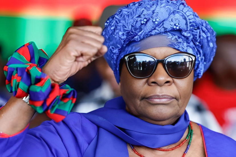 Namibia Opposition Challenges Election Results in Court